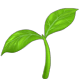 Small green sapling