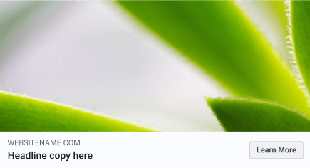 Facebook Link Preview Example