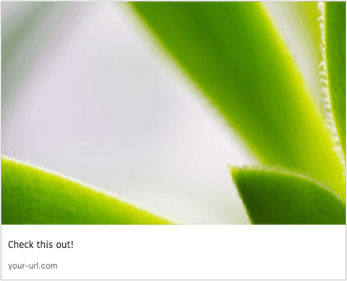 LinkedIn Link Preview Example