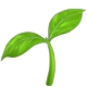 Small green sapling